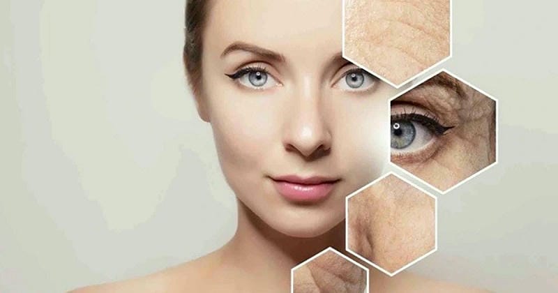 Xây Dựng Quy Trình Chống Lão Hóa "Bất Bại": 3 Cột Trụ Vững Chắc
